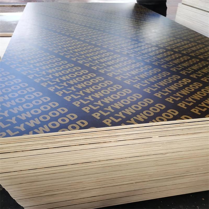Kayu Lapis Inti Birch